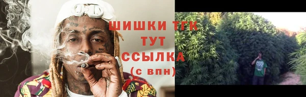 спиды Богородицк