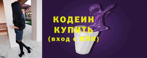 спиды Богородицк