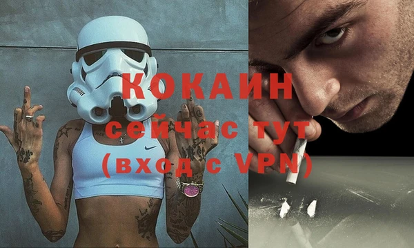 спиды Богородицк