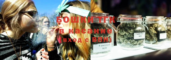 спиды Богородицк