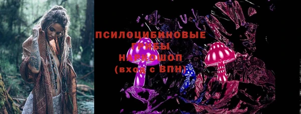 спиды Богородицк