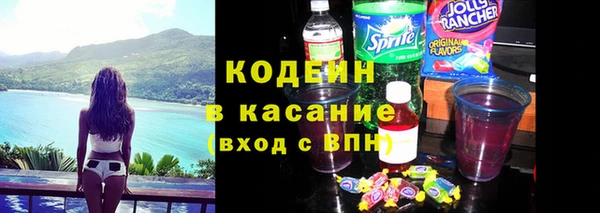 спиды Богородицк