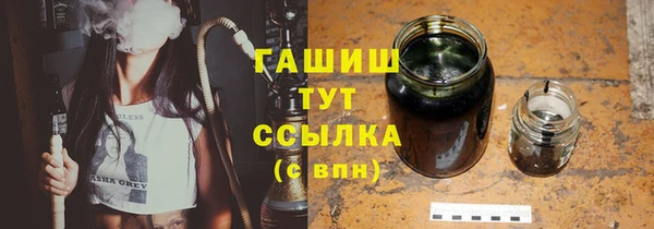 спиды Богородицк